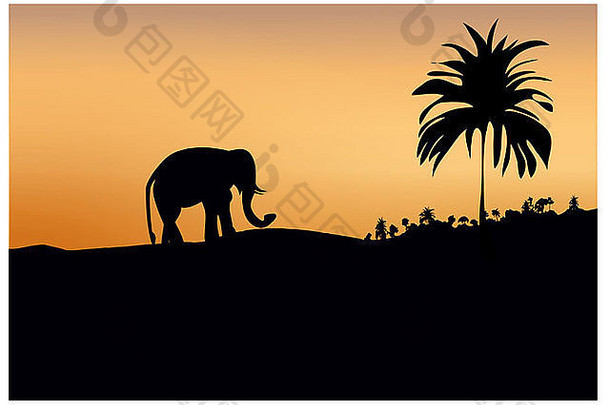 黑暗大象轮廓沙子树南岛日落