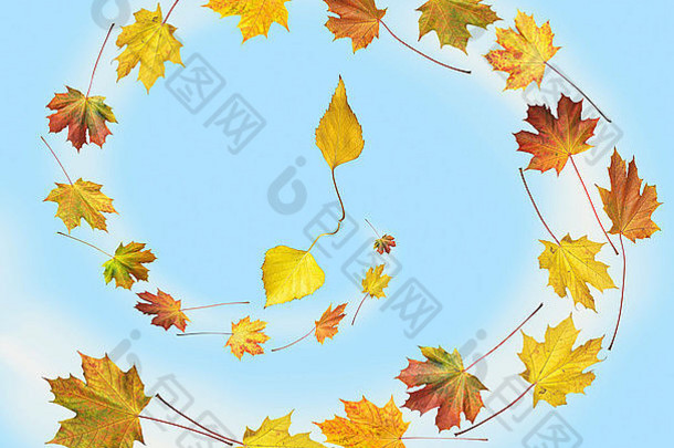 时钟形状使色彩斑斓的秋天枫木桦木树叶天空背景秋天的时间轮跳舞