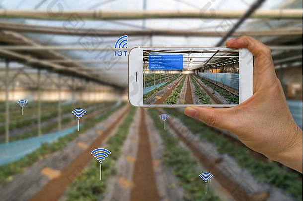 应用程序聪明的设备显示聪明的农业农业概念互联网的事情物联网增强现实