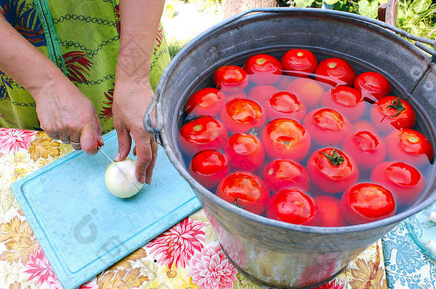 女人片辣根保存成熟的洗西红柿水