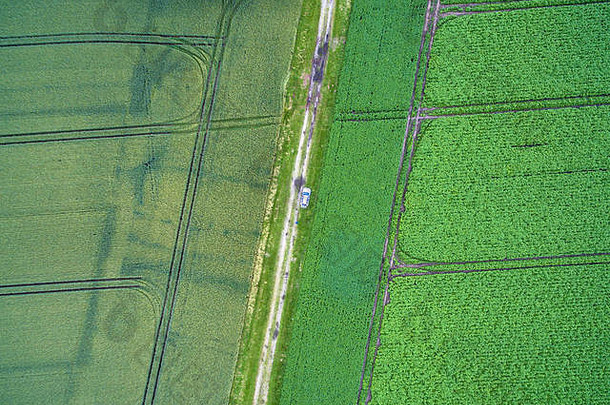 空中俯瞰两片耕地之间的一条小路，中间是一辆小汽车，从100米高的抽象角度拍摄，由无人机。