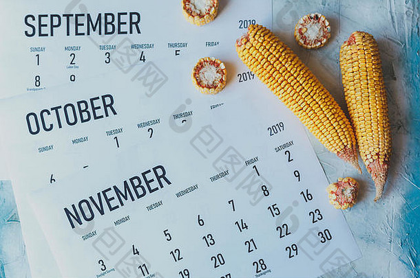 秋季月份，秋季季节概念。收获季节。九月、十月和十一月的三个月历。日历和生玉米的俯视图。