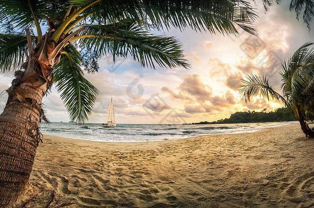 热带海滩天堂日落warm-colored沙子棕榈树美丽的云航行船