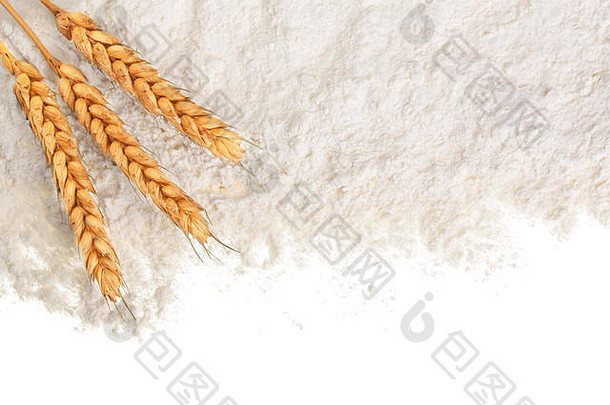 耳朵小麦桩面粉孤立的白色背景复制空间文本前视图平躺