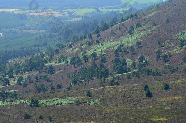 从苏格兰阿伯丁郡最著名的小山之一本纳奇山顶俯瞰全景