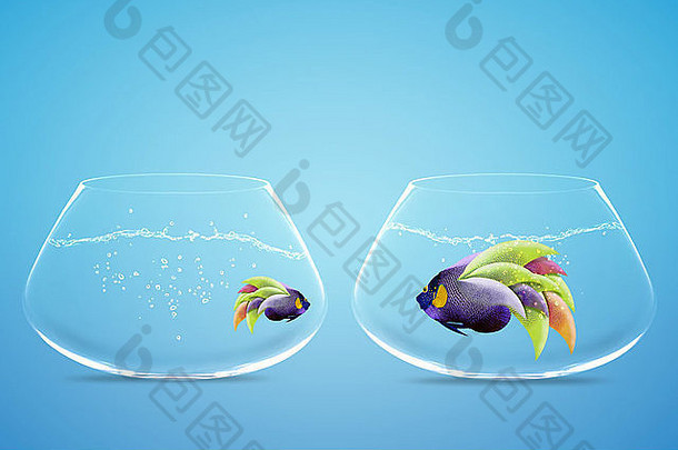 大小神仙鱼conceptua图像饮食缺乏平等的机会