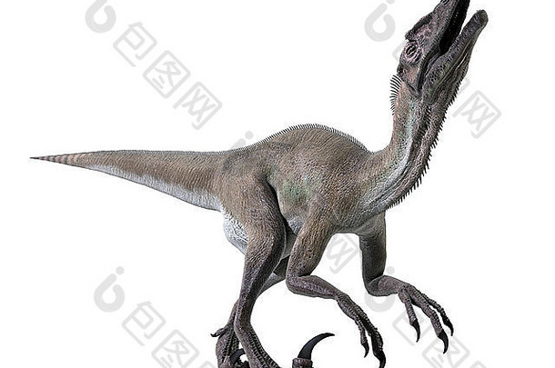 <strong>全名</strong>：Utahraptor ostrommayorum Utahraptor于1991年在犹他州东部（美国西部）首次发现。长