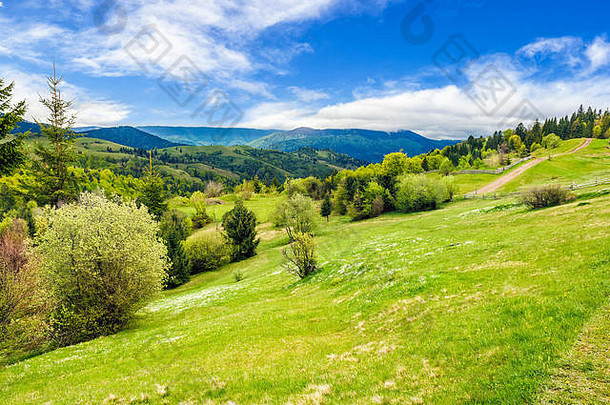 复合农村景观森林山农村区域长满草的农业场山坡上美丽的夏天风景