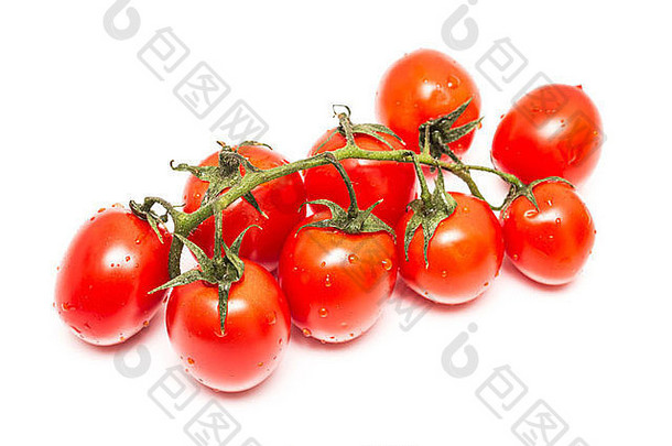 一束新鲜的湿红色西红柿，在白色上隔离
