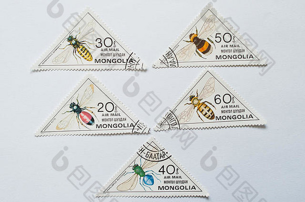 乌日哥罗德乌克兰约集合三角邮票印刷蒙古显示系列黄蜂昆虫