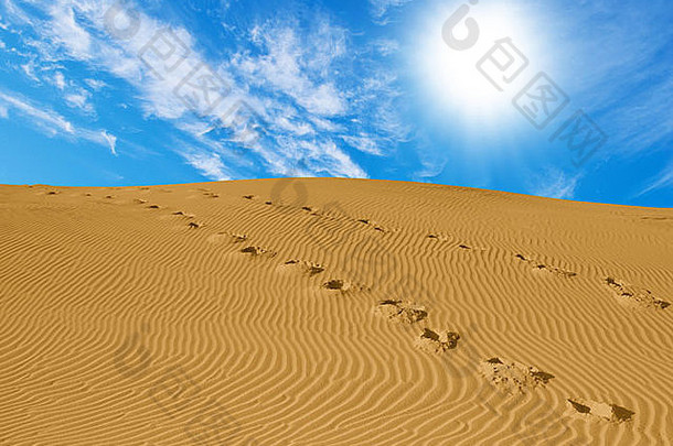 沙子沙漠