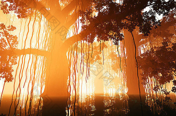 神秘的童话幻想在日落日出的水深处丛林