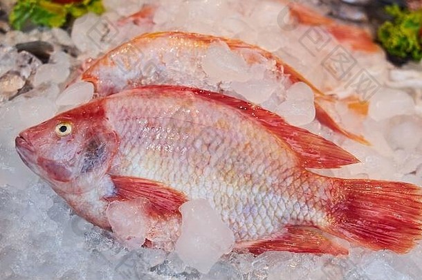 新鲜开胃的红鲷鱼躺在市场柜台上的冰上。