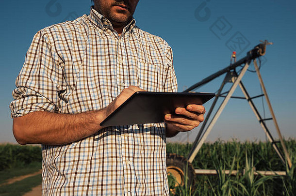 在温暖的夏日里，灌溉系统停止运行的玉米田里，农民们正在使用平板电脑，对此表示严重关切