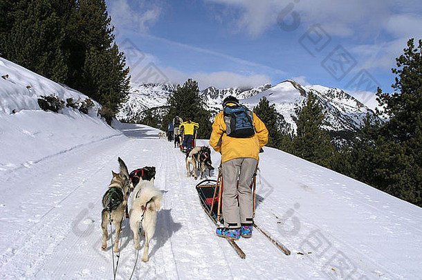 安道尔比利牛斯雪橇犬比赛