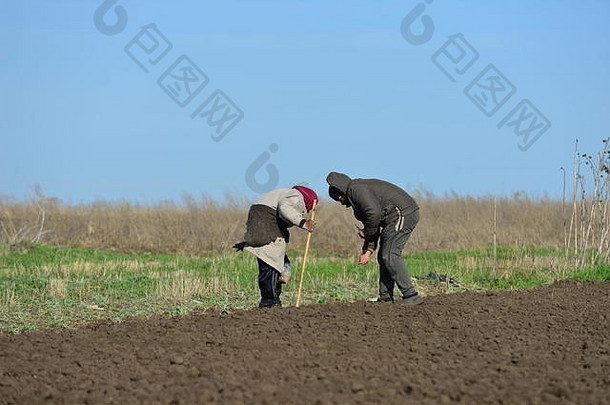 春天季节工作生存花园乌克兰