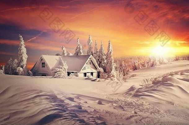冬天圣诞节日出场景光栅艺术插图图像国家房子小屋雪早....场景冬天白色景观冷淡的冷杉销
