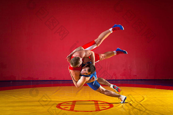 年轻的但蓝色的红色的摔跤连裤袜wrestlng使后拉抱摔跤黄色的摔跤地毯健身房