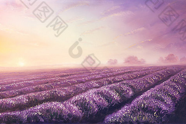 画布上薰衣草原汁原味的油画。日落景观。粉色和紫色阳光，彩色插图。