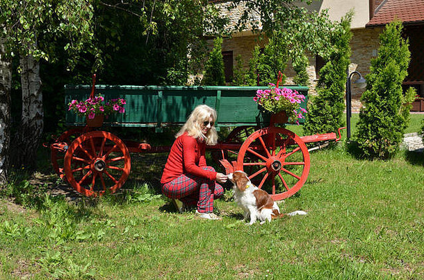 夫人玩狗花园前面老式的木绿色马车红色的轮子