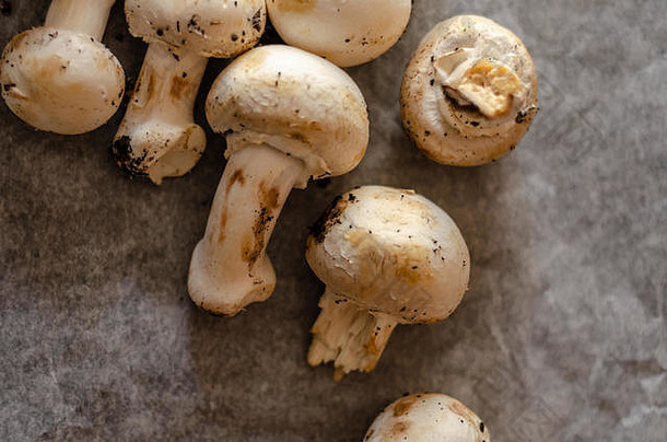 新鲜收获的脏蘑菇铺在纸上，生的和健康的蔬菜，素食