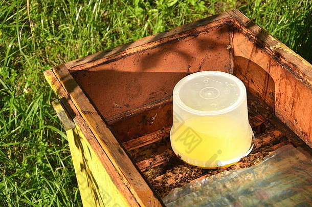 蜂箱容器内装有供蜜蜂喂食的糖浆
