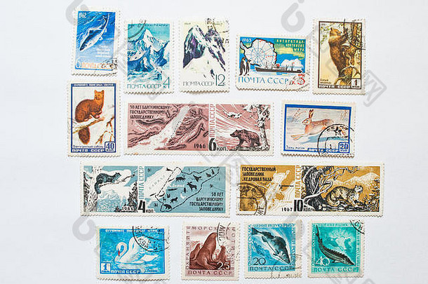 乌日哥罗德乌克兰约集合邮资邮票印刷苏联显示巴尔古津自然储备动物