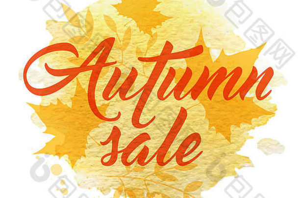 摘要秋天背景黄色的下降枫木叶子秋天出售刻字水彩纹理