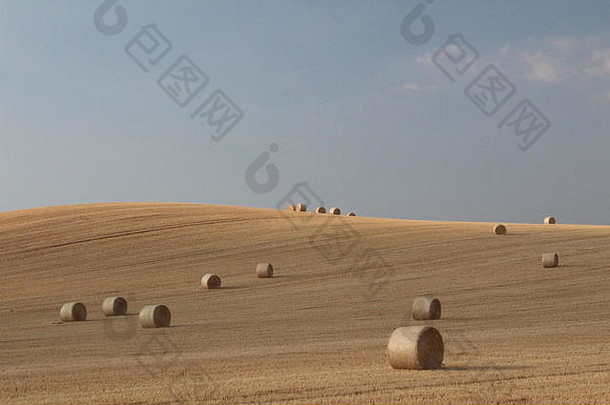 田野里的稻草，一捆捆的干草，蓝天白云，英国风景