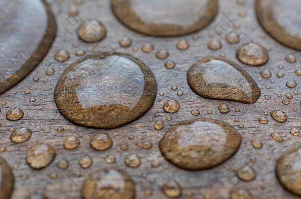 木头上水滴的特写镜头。