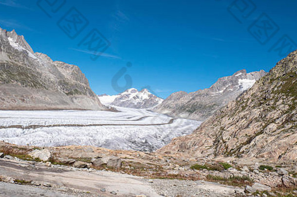 欧洲最大冰川——位于瑞士中部的阿莱奇冰川——壮观地形的全景照片。
