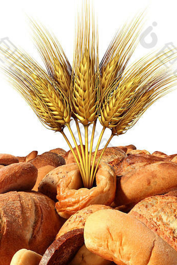 小麦面包各种新鲜的烤货物自然谷物燕麦食物农业象征插图元素孤立的<strong>白</strong>色背景