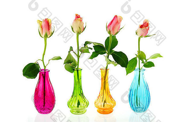 色彩斑斓的玻璃花瓶粉红色的玫瑰孤立的白色背景