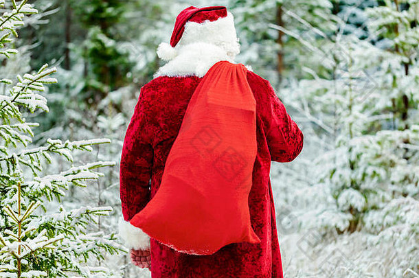 森林里的圣诞老人带着礼物袋