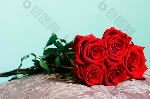 一束美丽的深红色玫瑰，长茎枕在枕头上。特写镜头。情人节快乐，婚礼，爱情，生日贺卡背景，W