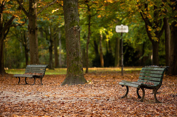柏林蒂尔加滕公园的秋天