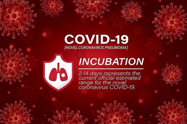 冠状病毒19病毒的培养和肺屏蔽载体设计