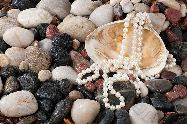 一串珍珠陈列在一个贝壳上，背景是<strong>岩石</strong>