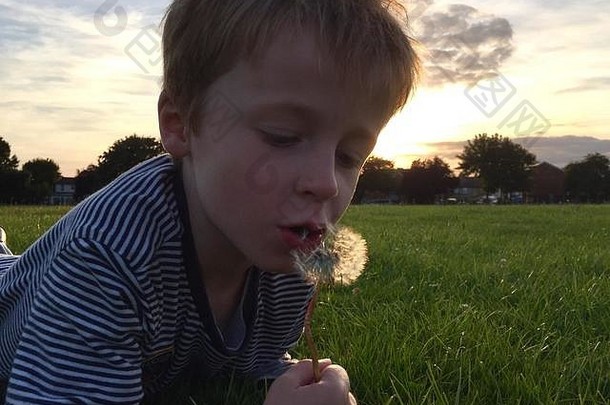 日落时分，一个6岁的小男孩躺在公园的草地上，从蒲公英钟上吹种子