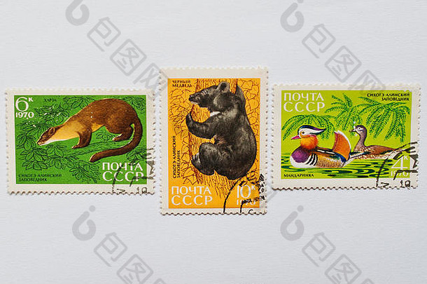 乌兹哥罗德，乌克兰——大约2016年5月：收集在苏联印刷的邮票，展示来自Sikhote Alin自然保护区的动物
