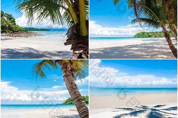 热带海滩棕榈树拼贴照片