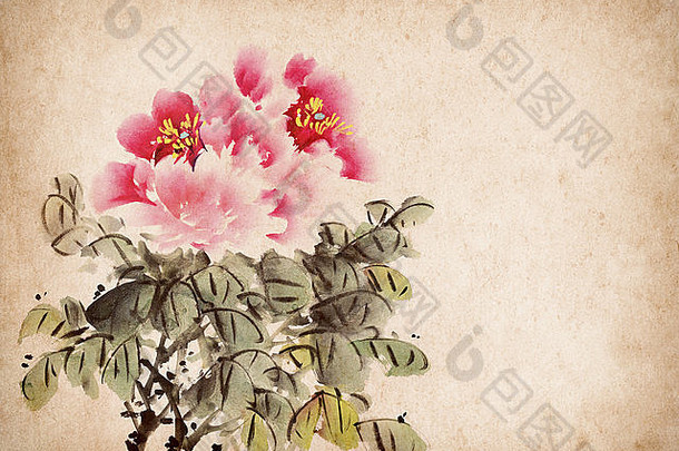 牡丹花传统的中国人墨水洗绘画