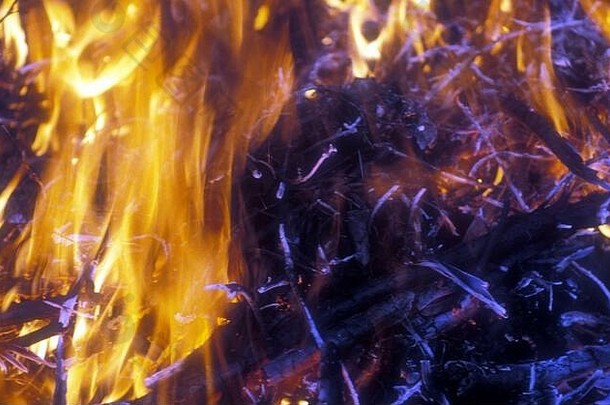 澳大利亚灌木丛营火的火焰和余烬的特写镜头。