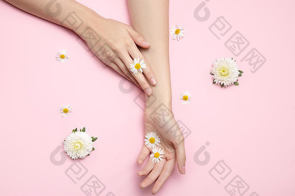 美丽的女人双手捧着鲜花。纤细的手腕和自然的指甲。粉红色背景上的雏菊