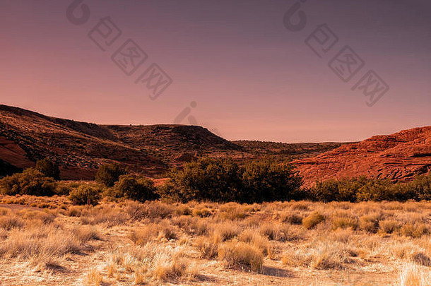 枯死的沙漠灌木丛，浅紫色天空下深红色的岩石小山。