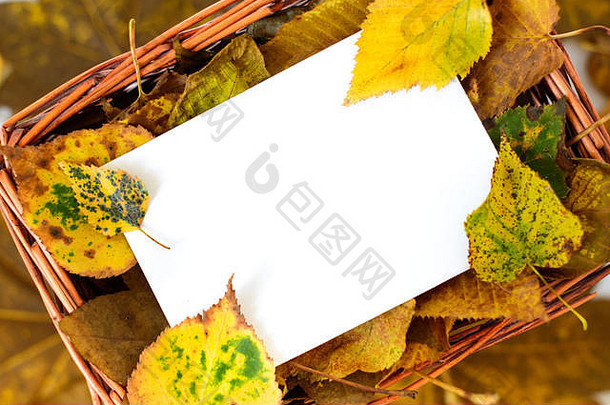秋天叶子稻草篮子白色复制空间卡自然背景
