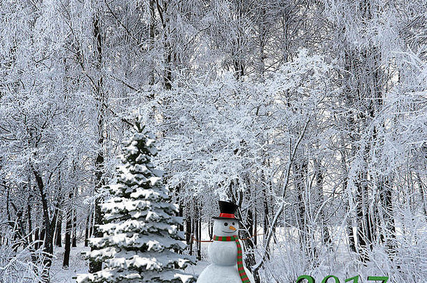 一年雪人<strong>圣诞节</strong>树雪树覆盖霜一年