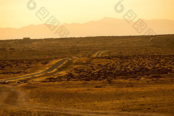 路运行牧场蒙古中国