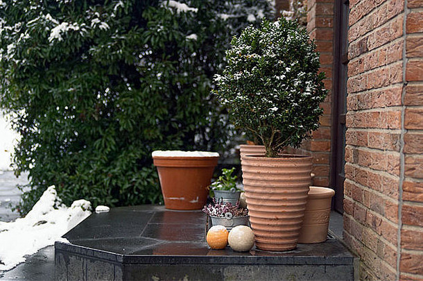 冬天景观住宅入口植物观赏陶器