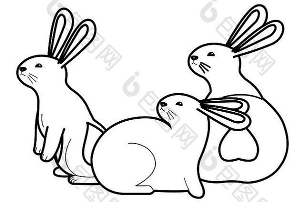 可爱的兔子动物漫画黑色的白色